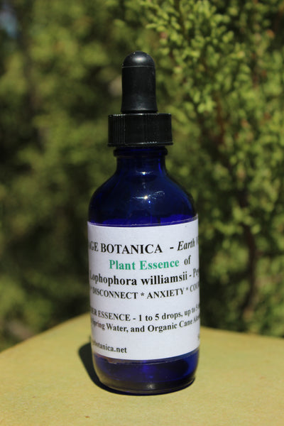 Flower/Plant Essences - Earth Vibrations of (Lophophora williamsii) - For   Fears * Disconnect * Anxiety * Courage * Heart  - 2 Ounce Size of MOTHER ESSENCE
