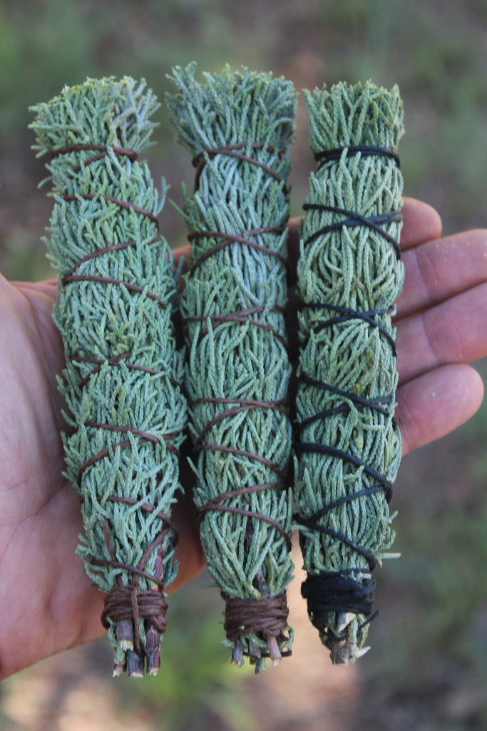ARIZONA CYPRESS - Cupressus arizonica - Smudges for Cleansing, Blessing, Protection (3 count)
