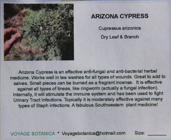 ARIZONA CYPRESS - Cupressus arizonica - Smudges for Cleansing, Blessing, Protection (10 count)