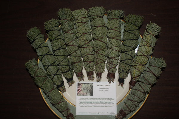ARIZONA CYPRESS - Cupressus arizonica - Smudges for Cleansing, Blessing, Protection (10 count)