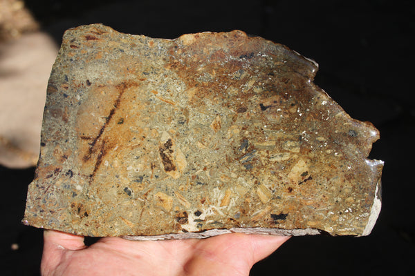 RARE - NATIVE SILVER - Famous Alhambra Mine in New Mexico #1