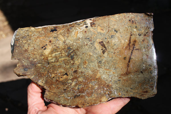 RARE - NATIVE SILVER - Famous Alhambra Mine in New Mexico #1