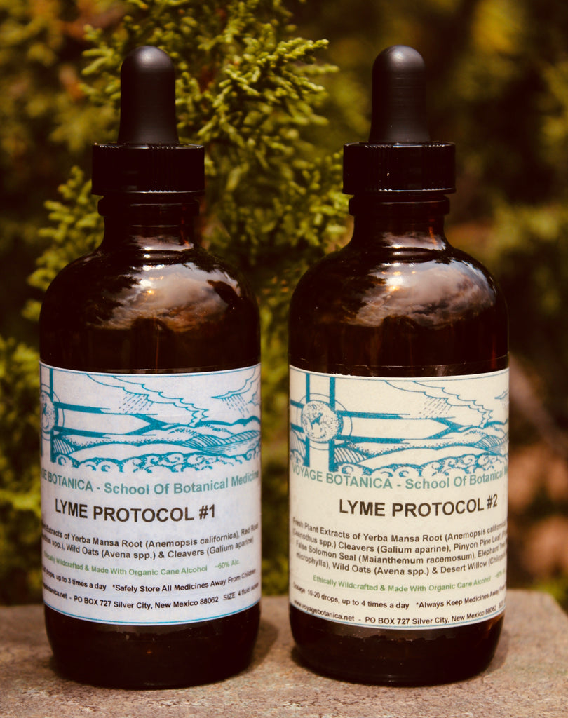LYME PROTOCOL #1 & #2 Extract 4 Ounce size - Advanced Combo