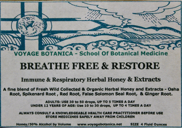 BREATHE FREE & RESTORE - Immune & Respiratory Herbal Honey & Extracts -  4 Ounce Size