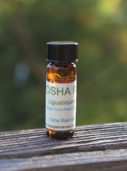 LAST BATCH EVER TO BE MADE !!!  OSHA ROOT Essential Oil - Get in on the next batch, coming soon!  READY NOW!!!!