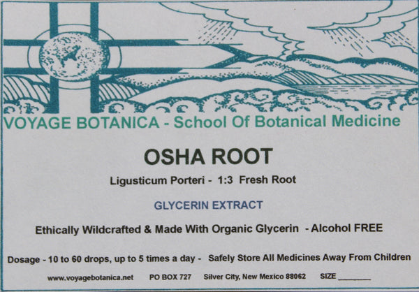 Glycerin Extract - (Alcohol Free) - Fresh Osha Root - Ligusticum porteri - 2 Ounce Size -  Ready To Ship May 15th, 2022