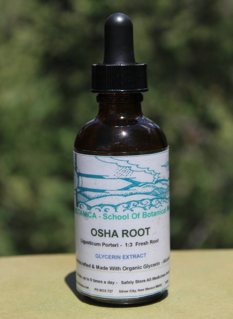 Glycerin Extract - (Alcohol Free) - Fresh Osha Root - Ligusticum porteri - 2 Ounce Size -  Ready To Ship May 15th, 2022