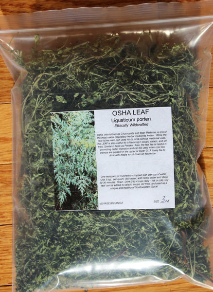 OSHA LEAF (Dry) - 3 Ounces - Seldom Available - Amazing Spice/Medicine Plant From The Southwest!  (New leaf on the rack drying, should ship by mid June!)
