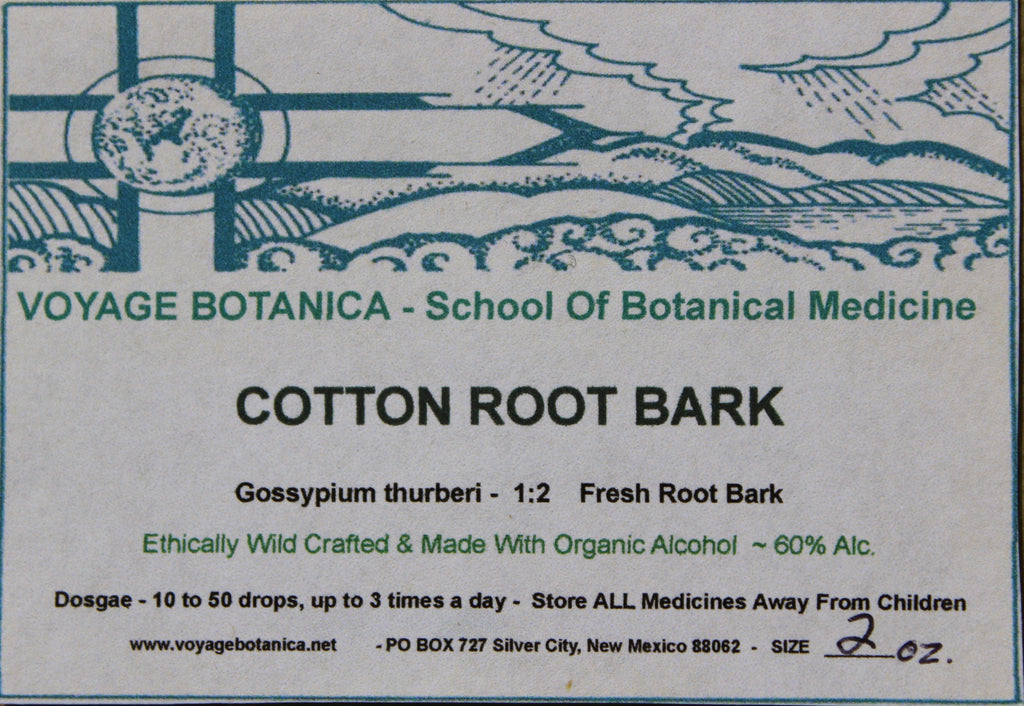 COTTON ROOT BARK - Gossypium thurberi - 2 Ounce Extract  ( Fresh Root Bark - 1:2)