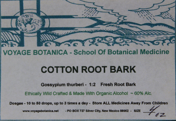COTTON ROOT BARK - Gossypium thurberi - 4 Ounce Extract  ( Fresh Root Bark - 1:2)
