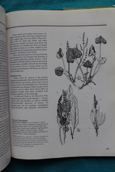 Discovering Wild Plants: Alaska, Western Canada, the Northwest  Schofield, Janice J.; Tyler, Richard W. [Illustrator]