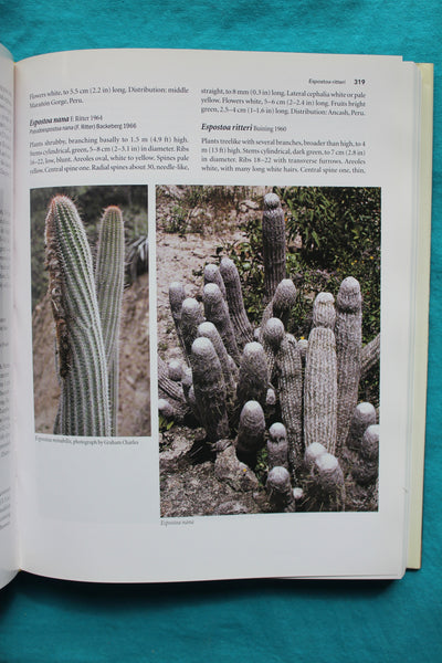 The Cactus Family  Edward F. Anderson  - 1st Edition - A Cornerstone Book On Cacti!