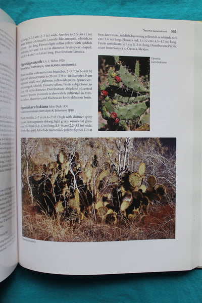 The Cactus Family  Edward F. Anderson  - 1st Edition - A Cornerstone Book On Cacti!