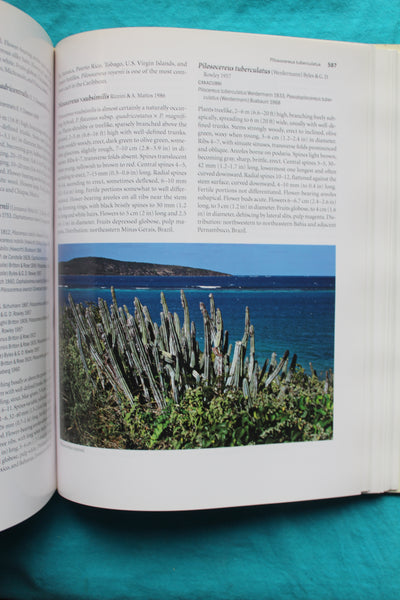 The Cactus Family  Edward F. Anderson  - 1st Edition - A Cornerstone Book On Cacti!