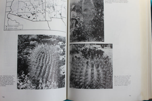 (BARGAIN) The Cacti of the United States and Canada.  Benson, Lyman - Lucretia Breazeale Hamilton (Illustr.) -