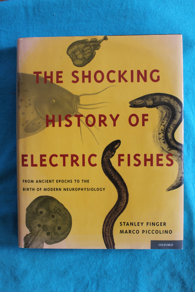 Shocking History of Electric Fishes : From Ancient Epochs to the Birth of Modern Neurophysiology Finger, Stanley; Piccolino, Marco -