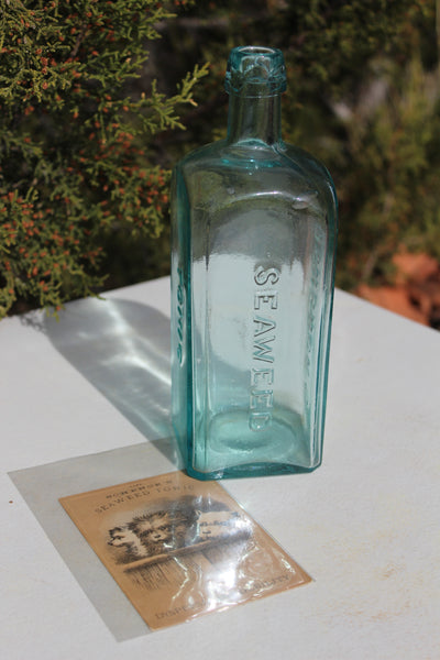 Old Apothecary Bottle  - Circa 1880 -  Very Beautiful - SCHENCK'S SEAWEED TONIC - With a Victorian Schenck's Trade Card - Near Mint -  Please No Discount Codes On This Listing