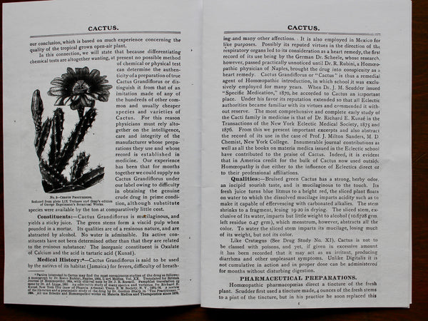 A TREATISE ON CACTUS GRANDIFLORUS [Therapeutic Uses] Ellingwood, Finley  - VERY RARE PAMPHLET On One Of The Most Significant of Heart Medicines -  (Affordable Photocopy)
