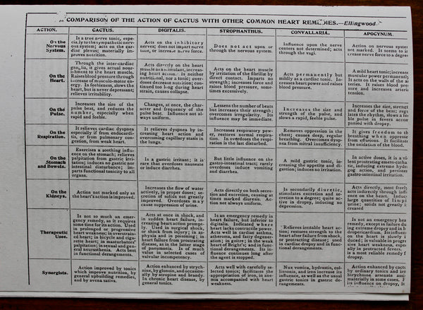 A TREATISE ON CACTUS GRANDIFLORUS [Therapeutic Uses] Ellingwood, Finley  - VERY RARE PAMPHLET On One Of The Most Significant of Heart Medicines -  (Affordable Photocopy)