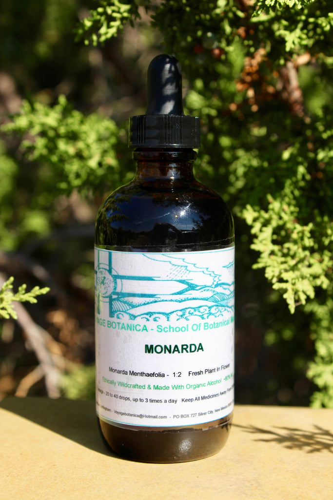 Monarda (Monarda menthaefolia) Extract - 4 Ounce Size