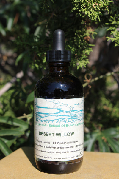 DESERT WILLOW EXTRACT - 4 Ounce Size -