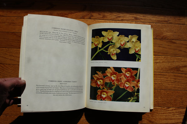 ORCHIDS IN AUSTRALIA  Moulen, Fred (Author Photographer)  Published by Edita S.A. Lausanne, Sydney, Australia (1958)