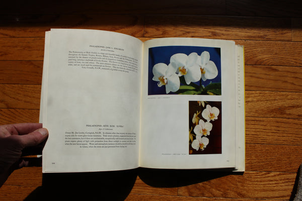 ORCHIDS IN AUSTRALIA  Moulen, Fred (Author Photographer)  Published by Edita S.A. Lausanne, Sydney, Australia (1958)