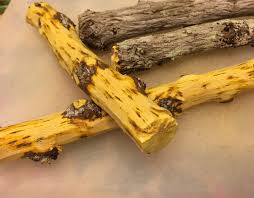 Oregon Grape/Algerita - Mahonia trifoliolata -  Beautiful "Berberine Rich Branches) 1 Pound