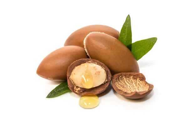 An Amazing Anti-Oxidant and Skin Rejuvenating OIl - Organic ARGAN OIL - 4 ounce size