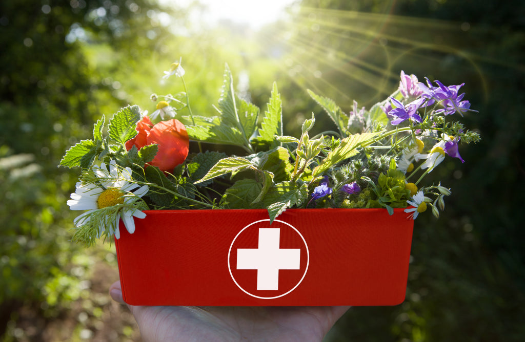 ON LINE CLASS -  HERBAL FIRST AID & How To Construct Your Own Kit!  6 Hour Class!